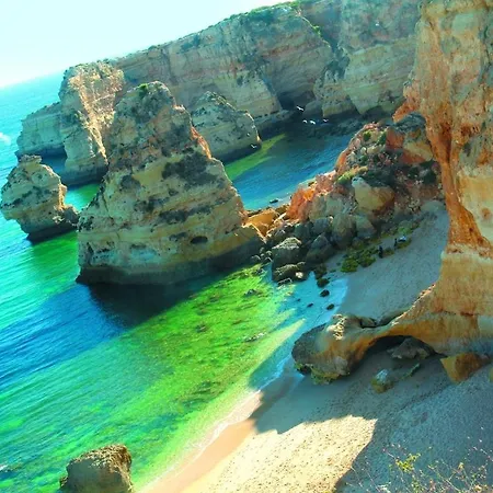 2 Bed Apartment, Terrace And Shared Pool Апартаменты