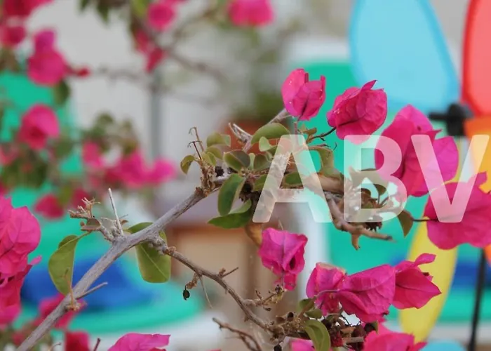 2 Bed Apartment, Terrace And Shared Pool Carvoeiro (Lagoa)