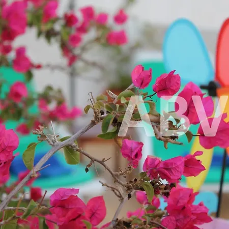 2 Bed Apartment, Terrace And Shared Pool Carvoeiro (Lagoa)